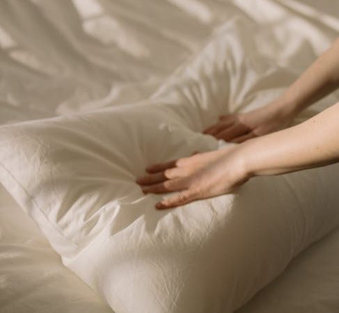 Бризеры для квартиры с функцией удаления пыли и цветочной пыльцы