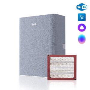 Очиститель воздуха приточный Ballu ONEAIR ASP-100H серый